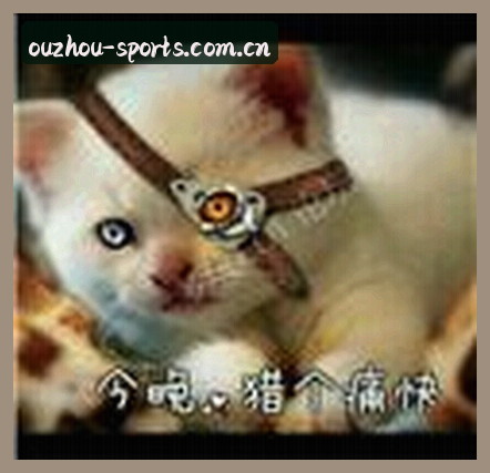 赵敏