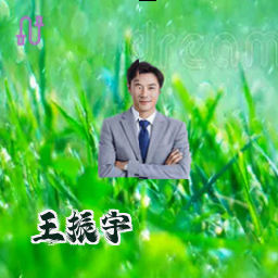 王振宇